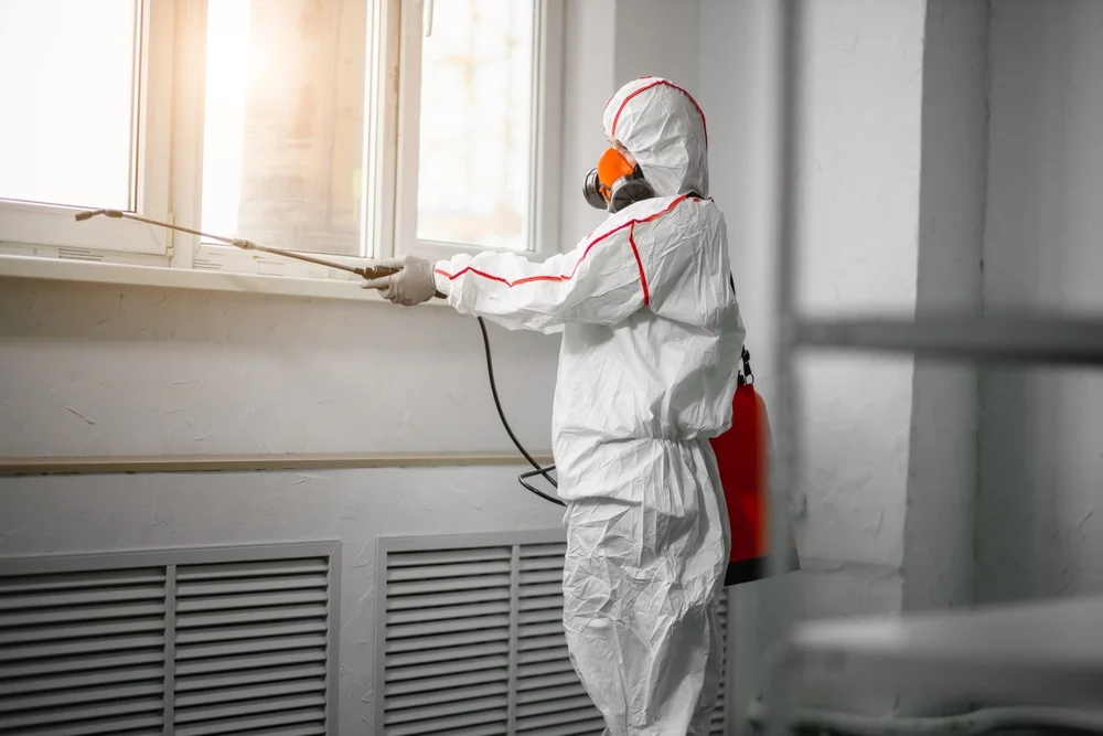 Professional mold remediation services in Seabrook, NH
